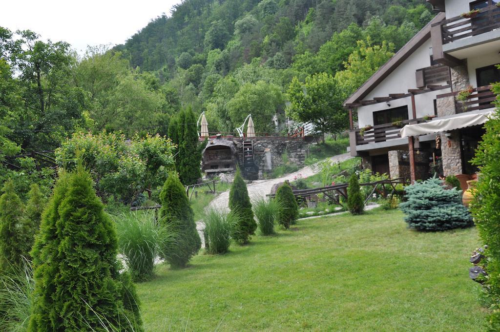 Pensiunea Valahia Brezoi Exterior foto